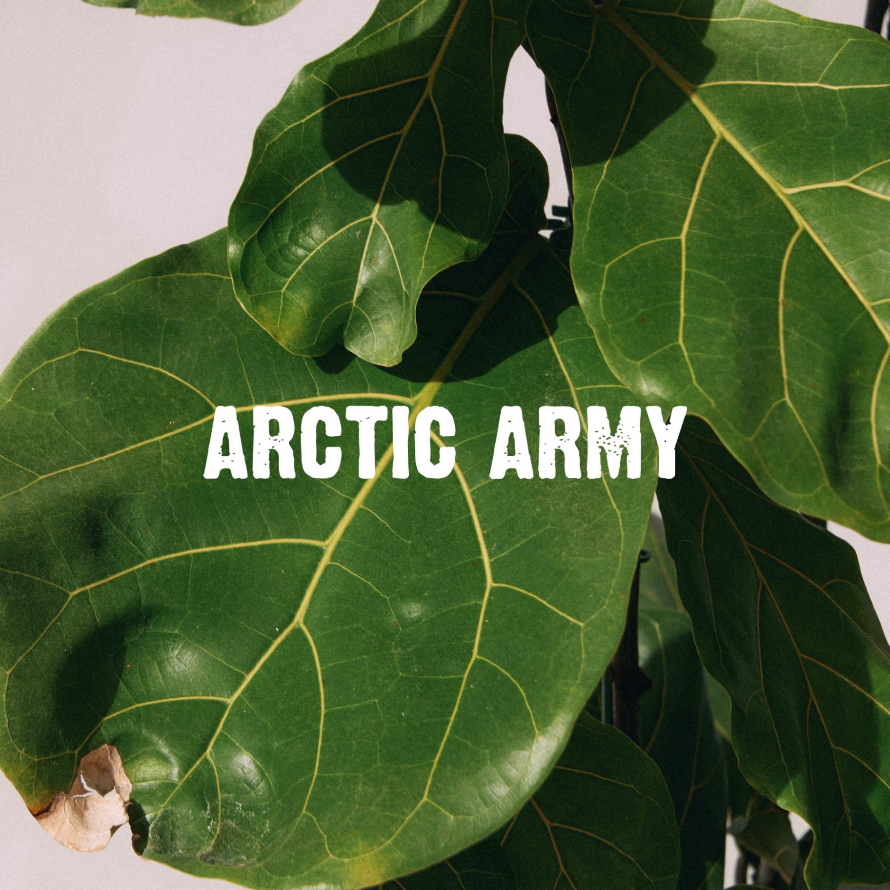 ARCTIC ARMY — plate 6
